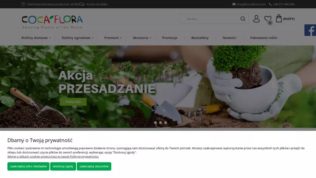 Zrzut ekranu strony internetowej firmy Sklep z roślinami CocaFlora