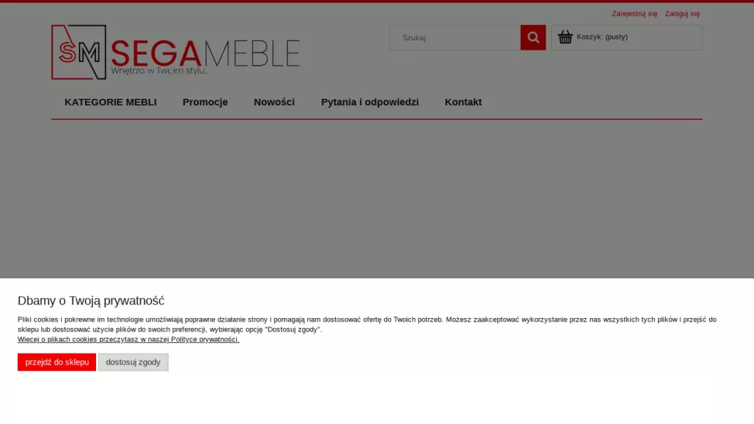 Zrzut ekranu strony internetowej firmy Sega Meble - sklep meblowy
