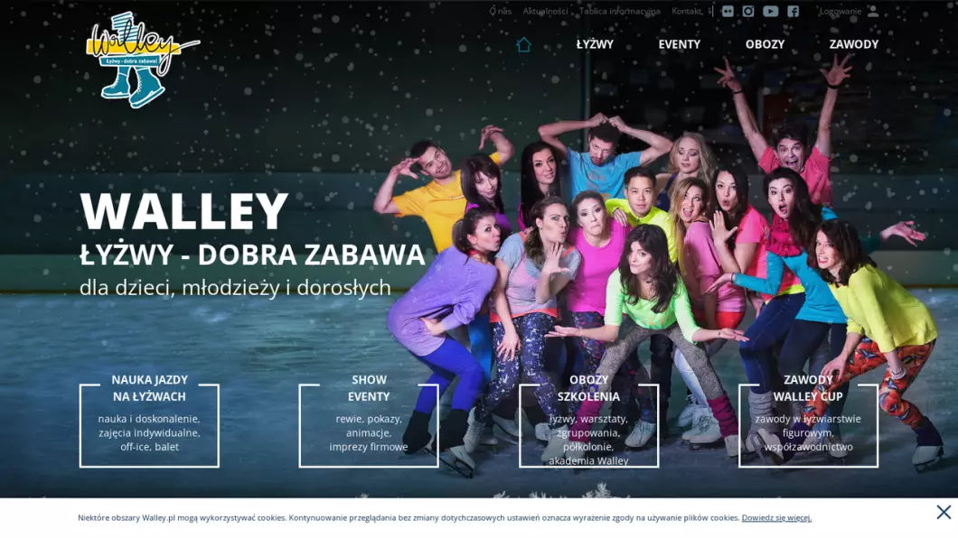 Zrzut ekranu strony internetowej firmy Walley - Nauka jazdy na łyżwach