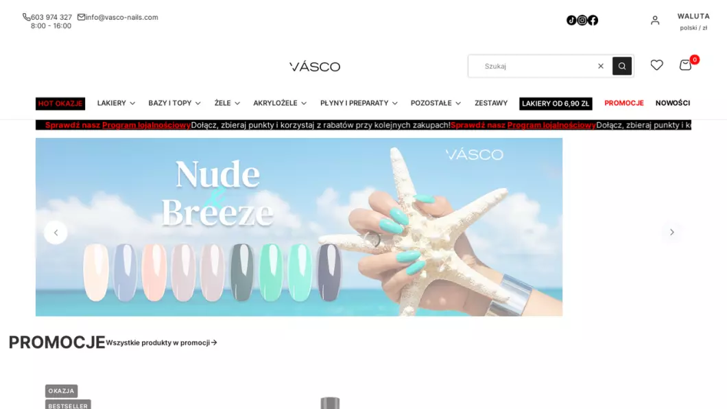 Zrzut ekranu strony internetowej firmy Vasco Nails