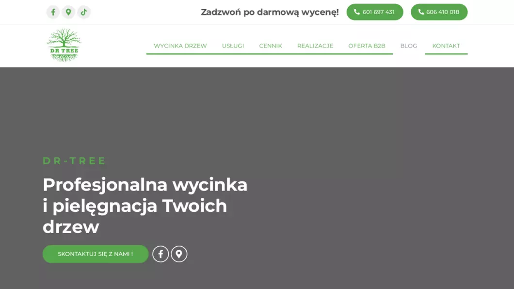 Zrzut ekranu strony internetowej firmy Wycinka, pielęgnacja drzew Kraków | Dr-tree